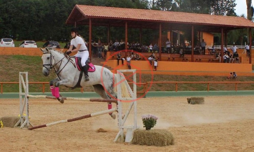 Haras Completo em Ibiúna na beira do asfalto!