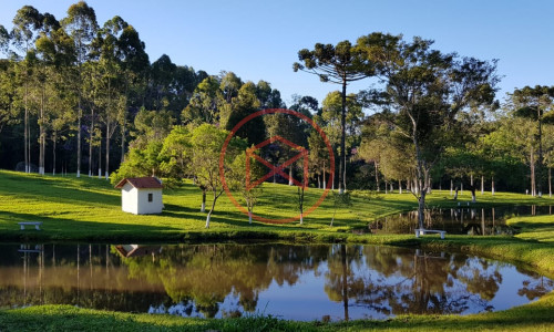 Sítio com 7 alqueires antes do Centro de Ibiuna!!