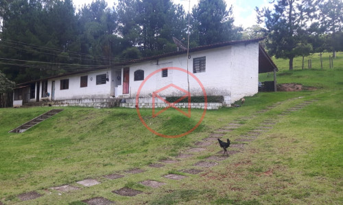 Sítio com 7 alqueires antes do Centro de Ibiuna!!