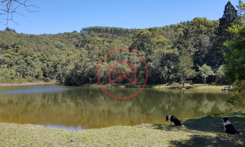 Sítio com 7 alqueires antes do Centro de Ibiuna!!