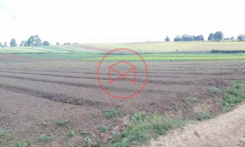 Terreno Antes do Centro com 206.700 mts²