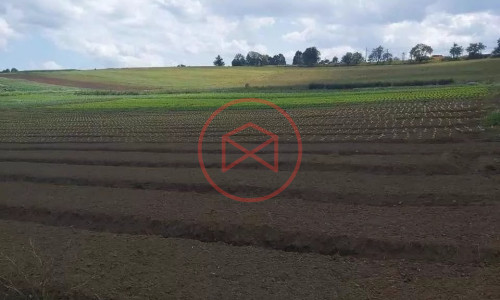 Terreno Antes do Centro com 206.700 mts²