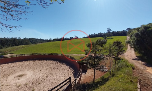 Haras Completo em Ibiúna!