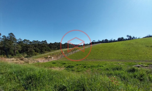 Haras Completo em Ibiúna!