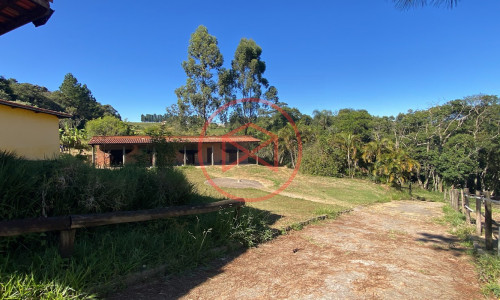 Haras Completo em Ibiúna!