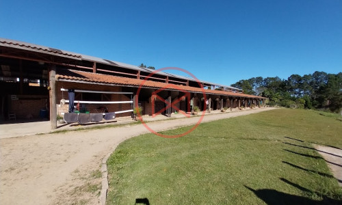 Haras Completo em Ibiúna!