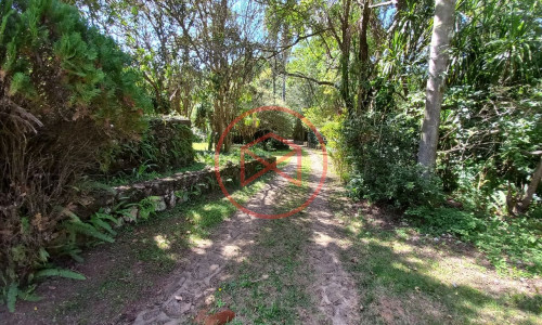 OPORTUNIDADE !! Fazenda em Piedade!!