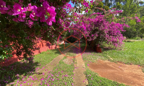 Chácara Antes do Centro de Ibiúna!!