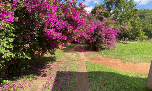 Chácara Antes do Centro de Ibiúna!!