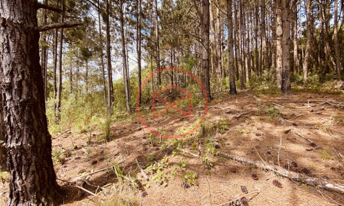 Chácara com 12.500 mts em Ibiúna!!