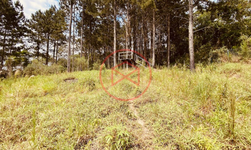 Chácara com 12.500 mts em Ibiúna!!