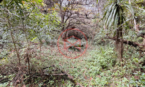 Chácara com 5 Alqueires em Ibiúna próximo ao Centro