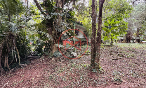 Chácara com 5 Alqueires em Ibiúna próximo ao Centro