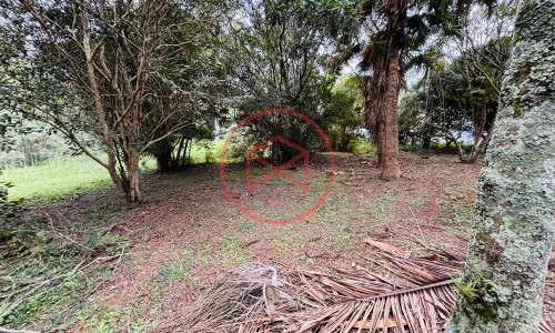 Chácara com 5 Alqueires em Ibiúna próximo ao Centro