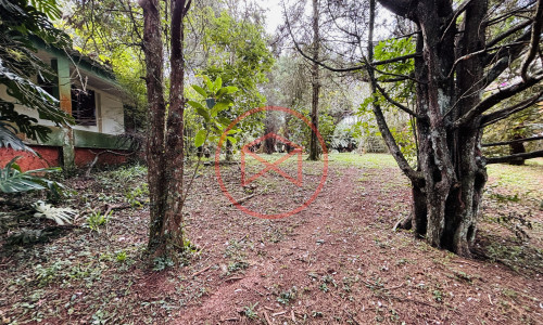 Chácara com 5 Alqueires em Ibiúna próximo ao Centro