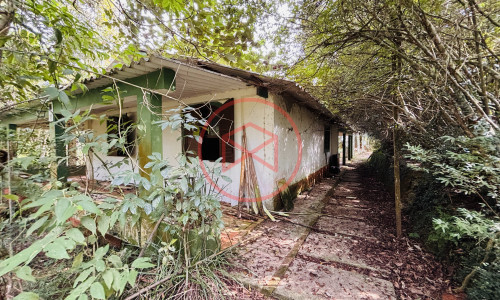 Chácara com 5 Alqueires em Ibiúna próximo ao Centro