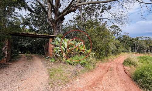 Chácara com 5 Alqueires em Ibiúna próximo ao Centro